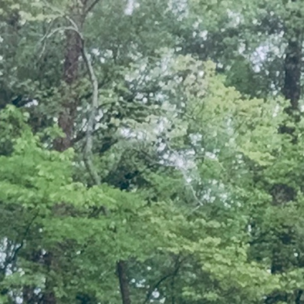 Meet your Posher, Lilly